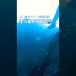 2023年 🤿初心者ダイバー体験記録　宮古島　中の島チャネル
