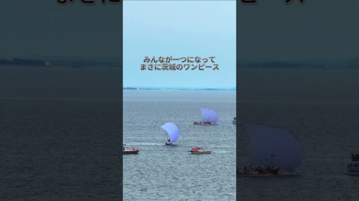 霞ヶ浦で集まった茨城のワンピース⛵️観光帆引き船