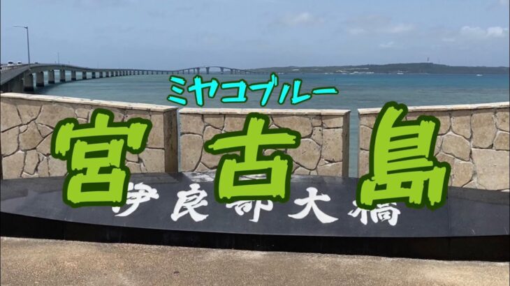 2023年 ひとり旅　ミヤコブルー宮古島