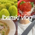 茨城 vlog//だいちゅきお友達/観光/食