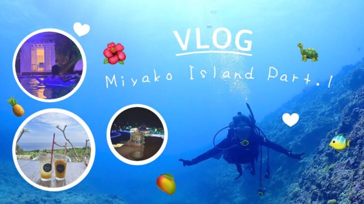 2023年 【vlog】沖縄宮古島旅行&ダイビングライセンス取得🤿