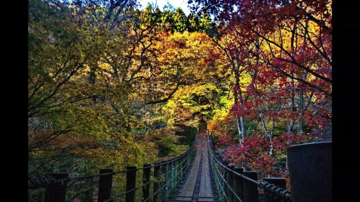 感激を求めて　花貫渓谷（はなぬきけいこく）の紅葉　11月20日 茨城県高萩市
