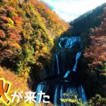 【袋田の滝】2023 紅葉と滝の最強コラボ！大迫力の袋田の滝に行ってみた！