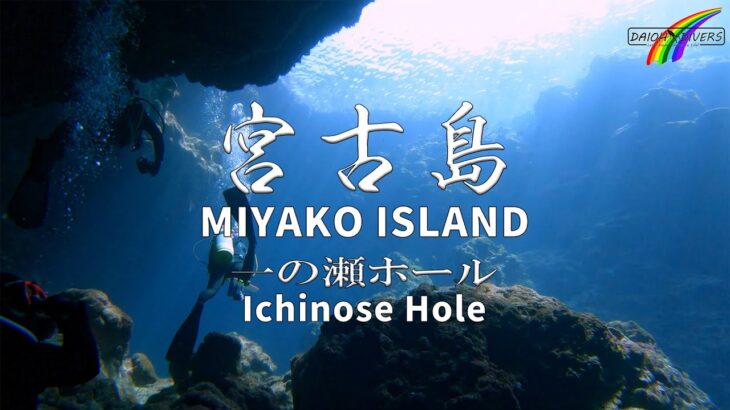 2023年 【宮古島ダイビング】2023年10月のダイビング映像です。下地島の一の瀬ホールに潜りました。光が降りそそぐ神秘的な映像をお楽しみください。