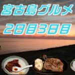 2023年 【グルメライダー】宮古島グルメ食べまくってウミガメも見てきた2日目3日目