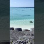 2023年 Beautiful Ocean View | Okinawa-Miyako Island | Japan | #beach #relax #nature #宮古島 #shorts