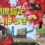 【CHALLENGE IBARAKI】#61　体験王国いばらき「茨城デスティネーションキャンペーン」