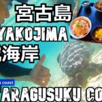 2023年 宮古島旅（２）タコ公園・新城海岸に行こう！Miyakojima trip (2) Let’s go to Octopus Park and Aragusuku Coast!