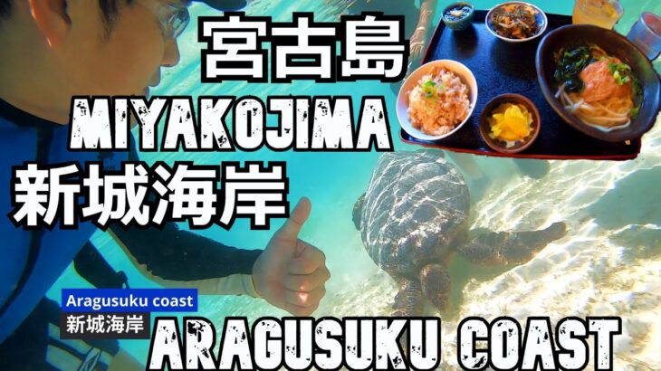 2023年 宮古島旅（２）タコ公園・新城海岸に行こう！Miyakojima trip (2) Let’s go to Octopus Park and Aragusuku Coast!