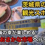 【那珂湊】茨城県の人気観光スポット✨那珂湊おさかな市場で新鮮な海の幸をお腹いっぱい爆食してきた🐟