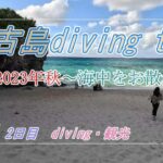 2023年 【宮古島vlog】３泊４日　divingとグルメを満喫！　～2日目～　海中をお散歩