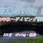 2023年 【宮古島vlog】３泊４日divingとグルメを満喫！　～3日目～　ダイビングを満喫