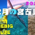 2023年 【12月】宮古島の遊び方♪