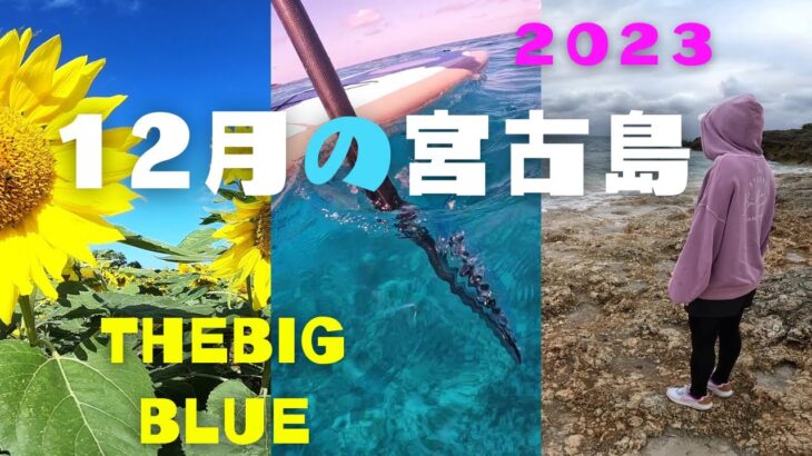 2023年 【12月】宮古島の遊び方♪