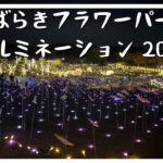 【茨城】いばらきフラワーパークイルミネーション 2023｜クリスマスイルミネイト【観光】