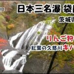 🍁[4K] 2023年11月23日 茨城県大子町の秋を楽しむ 🍎りんご狩り＆袋田の滝＆🚃水郡線