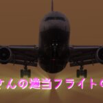 2023年 親父さんの時間 の突撃ライブ X-Plane12  那覇～宮古島