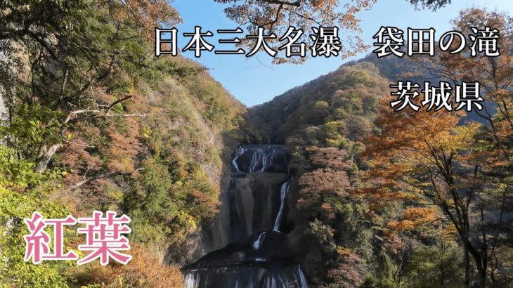 【袋田の滝】茨城県三大名瀑袋田の滝に行ってきました。紅葉始まりました！