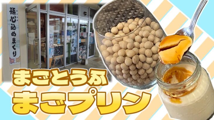 2023年 【宮古島スイーツ】豆腐屋が作るプリン！？まごとうふ