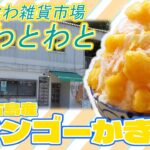 2023年 【宮古島スイーツ】わとわとのマンゴーかき氷！宮古島産マンゴーをたっぷり使用！