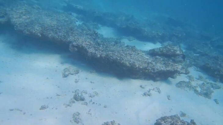 2023年 宮古島　中の島⑮水の中