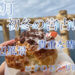 2023年 【vlog】初冬の宮古島🏝️つかの間の日照時間☀️海辺の遊歩道。yuko散歩