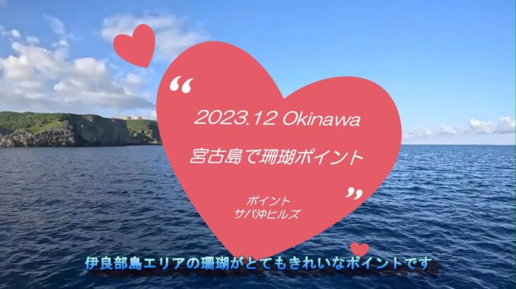 2023年 〔2023. 12〕 Okinawa 宮古島で珊瑚ポイント：サバ沖ヒルズ　4K映像