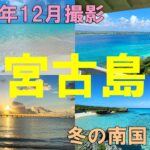 2023年 宮古島 冬の南国を歩く 2023年12月撮影 Miyako Island, Okinawa (Dec. 2022)