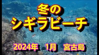 2023年 真冬のシギラビーチ　宮古島　海中散歩　第35弾　2024/01/17