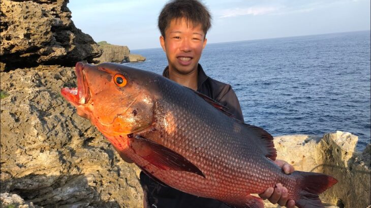 2023年 アカナー80センチ釣ったどー！　#釣り #宮古島 #沖縄 #泳がせ釣り #fishing #fishinglife #shimano #アウトドア #fish #アカナー