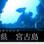 2023年 【GoPro撮影】沖縄宮古島リゾート　ダイビング