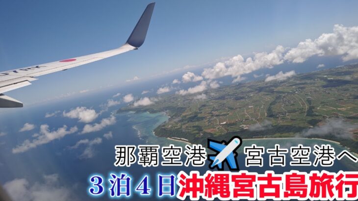 2023年 【沖縄】アラフォーアラフィフ夫婦３泊４日沖縄宮古島旅行２０２３年１１月MIYAKO空旅編