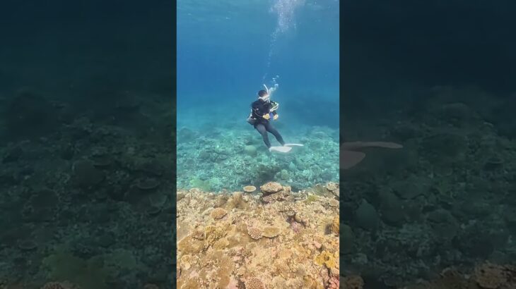 2023年 Miyakojima Islands, Scuba Diving 宮古島 ダイビング