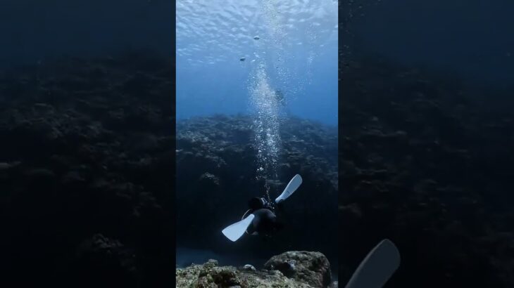 2023年 Miyakojima Islands, Scuba Diving 宮古島 ダイビング