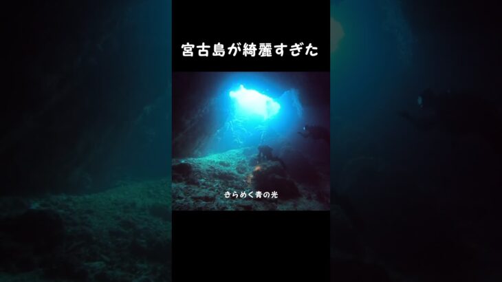 2023年 青の世界へようこそ #宮古島 #宮古島ダイビング #다이빙  #미야코지마  #diving