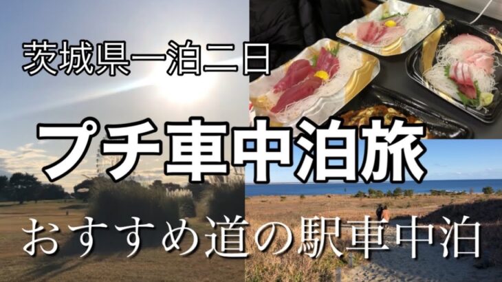 【茨城県車中泊旅】ひたち海浜公園と道の駅日立おさかなセンターでお風呂ありグルメあり車中泊！！【トイファクトリーキャンピングカー】