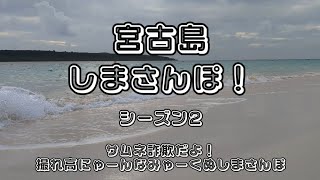 2023年 宮古島🍶しまさんぽ　撮れ高にゃーんなみゃーくぬしまさんぽ