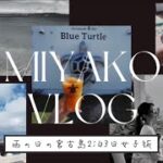 2023年 【vlog】12月の宮古島旅行（雨の日）