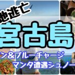 2023年 #147【宮古島・前編】宮古ブルー巡りと居酒屋はしご酒！真冬の海で、マンタシュノーケルとダイビング！