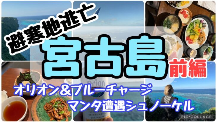 2023年 #147【宮古島・前編】宮古ブルー巡りと居酒屋はしご酒！真冬の海で、マンタシュノーケルとダイビング！