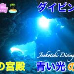 2023年 宮古島🏝️ダイビング🤿下地島・魔王の宮殿🪸青い光の芸術🤩👍2022年3月