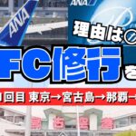 2023年 2024年SFC修行を始めました！〜初回は宮古島・那覇遠征