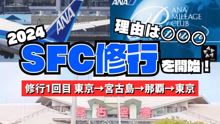 2023年 2024年SFC修行を始めました！〜初回は宮古島・那覇遠征