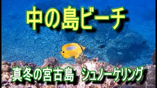 2023年 宮古島　中の島ビーチ　真冬のシュノーケリング　　第37弾