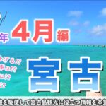 2023年 【4月の宮古島】知らないと損する🌺天気・服装・注意点・おすすめ観光を徹底的にガイドします