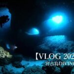2023年 【VLOG】2023年11月　Miyako Island Diving Trip 宮古島ダイビング Miyakojima Diving 津波岩   通り池　ツインケーブ　女王の部屋　他