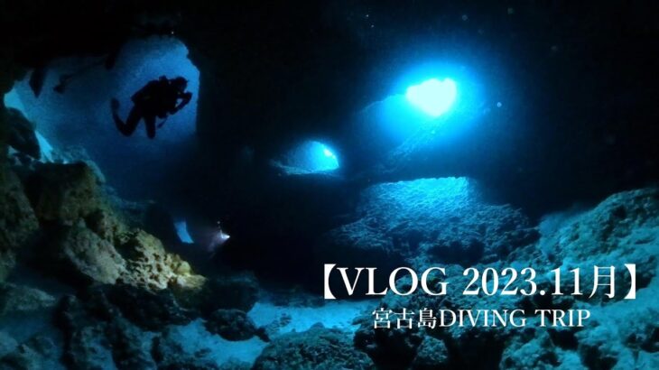 2023年 【VLOG】2023年11月　Miyako Island Diving Trip 宮古島ダイビング Miyakojima Diving 津波岩   通り池　ツインケーブ　女王の部屋　他