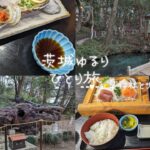 【泉神社】茨城ゆるりひとり旅Vlog【開運】