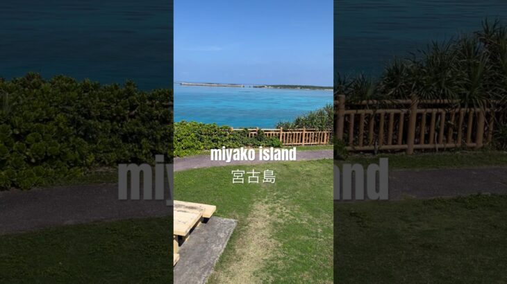 2023年 #宮古島　#island #miyakoisland