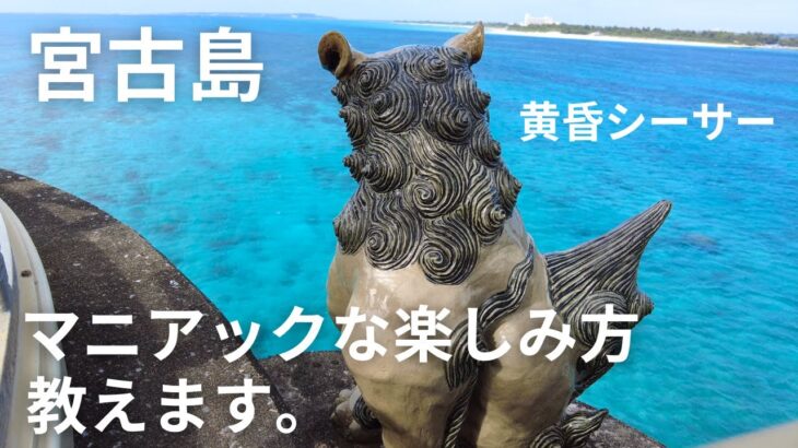 2023年 【宮古島マニア】地元民がディープな宮古島観光の楽しみ方を教えます。【宮古島観光】【宮古島vlog】